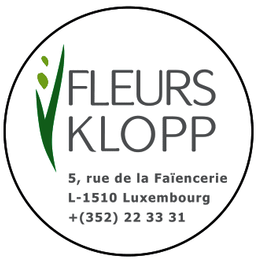 Fleurs Klopp