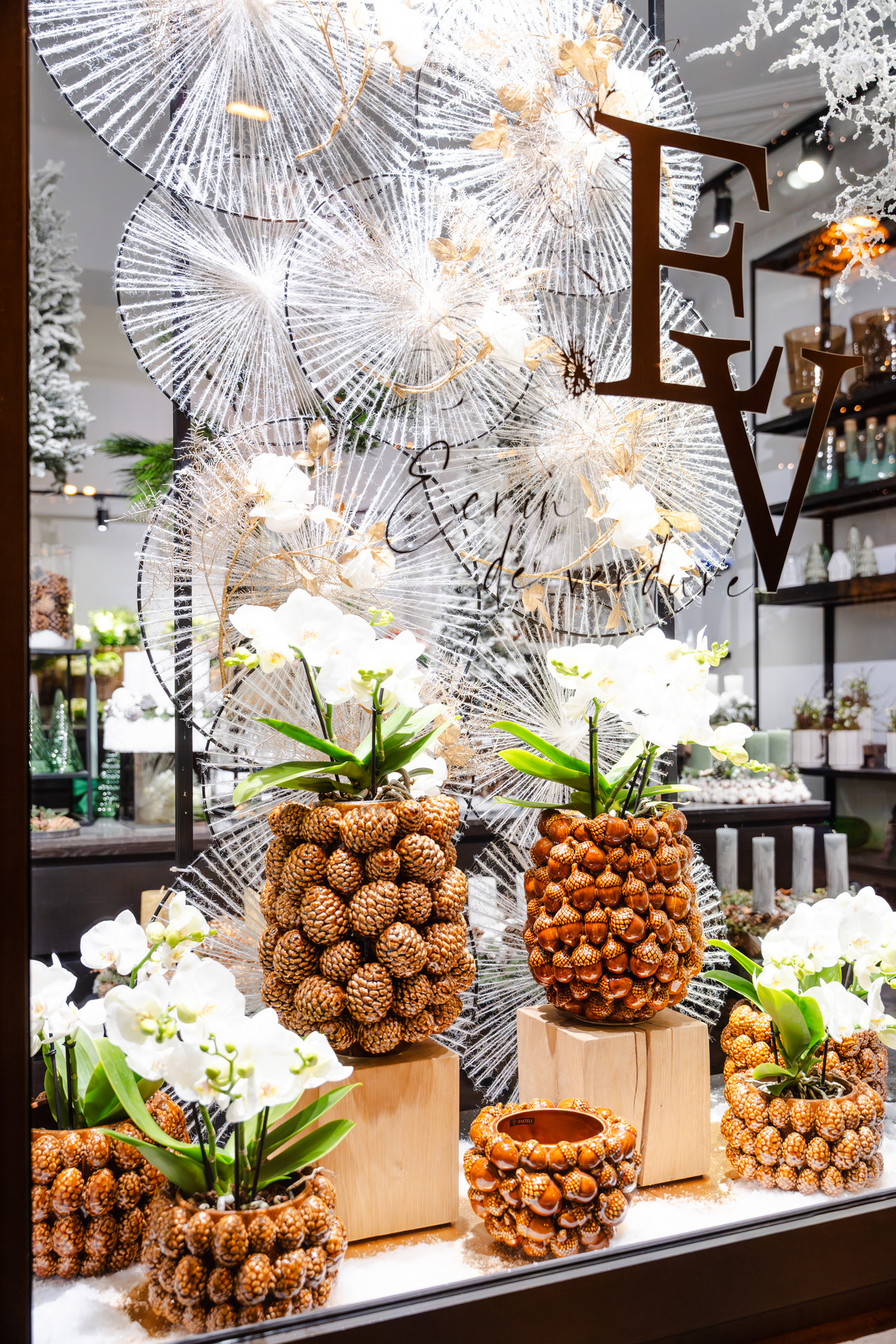 Vitrine Ecrin de Verdure